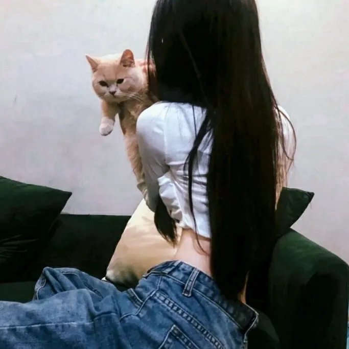 突发事件